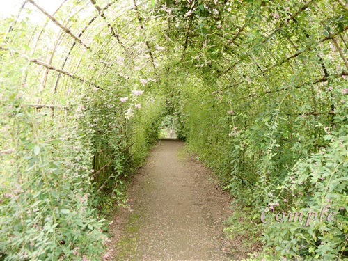 萩のトンネル