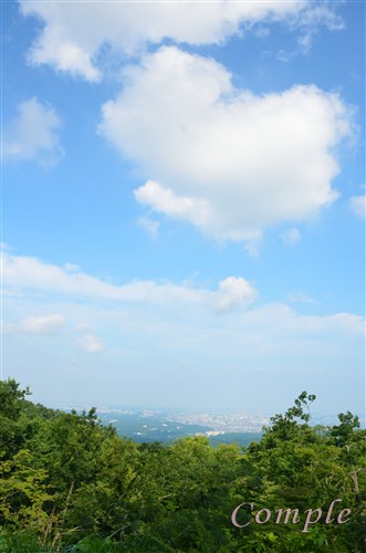 高尾山頂の風景