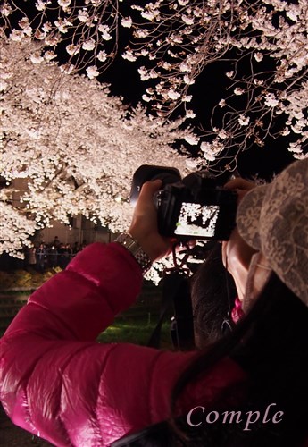 桜を撮るカメラ女子