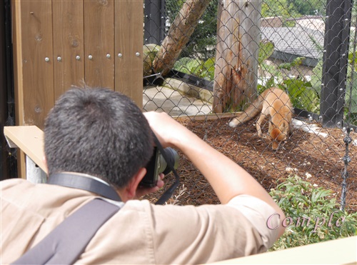 動物園カメラ教室