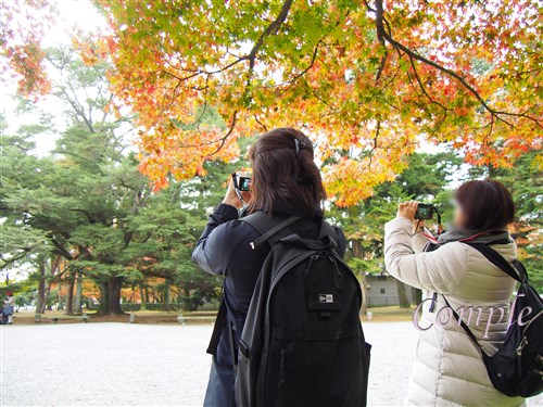 京都カメラ教室