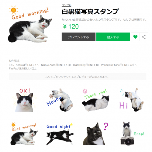 白黒猫写真LINEスタンプ