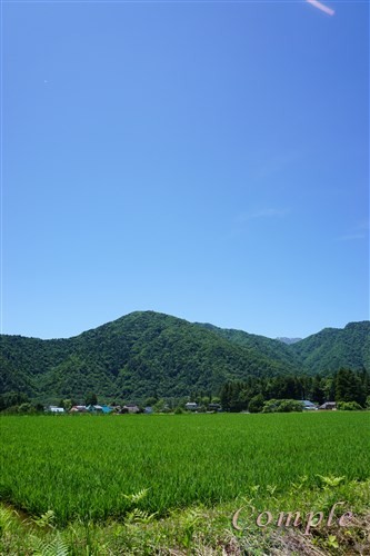 長野の山風景