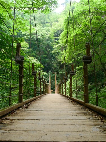 高尾山の吊り橋