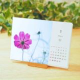 [販売中]2022年コンプルオリジナル花と風景写真カレンダー