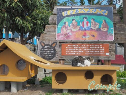 湯島の猫ハウス