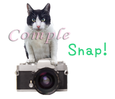 白黒猫写真カメラスタンプ